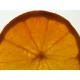15 Kg. Naranjas ecológicas