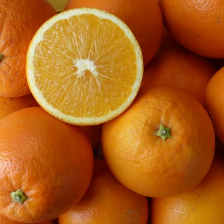 10 Kg. Naranjas ecológicas