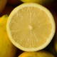 10 Kg. Limones Ecológicos