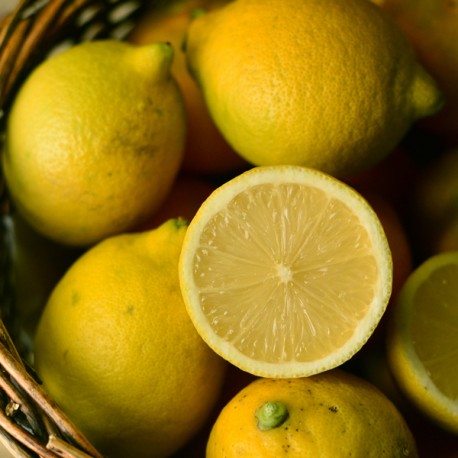 10 Kg. Limones Ecológicos