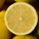 15 Kg. Limones Ecológicos
