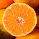 15 Kg. Mandarines ecològiques