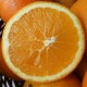 10 Kg. Naranjas para zumo ecológicas